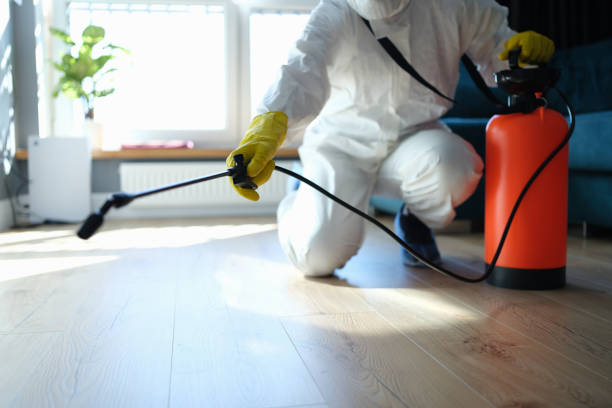 Reliable Infectious Disease Decontamination contractor in Bellevue, ID by Trauma Clean Pros